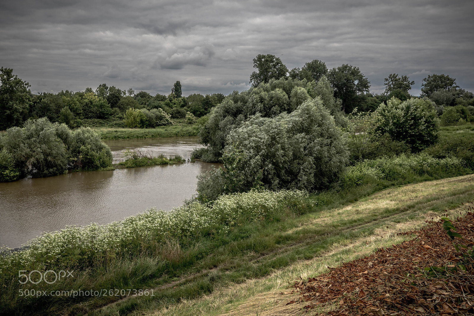 Canon EOS 5D Mark IV sample photo. Ma promenade le long photography