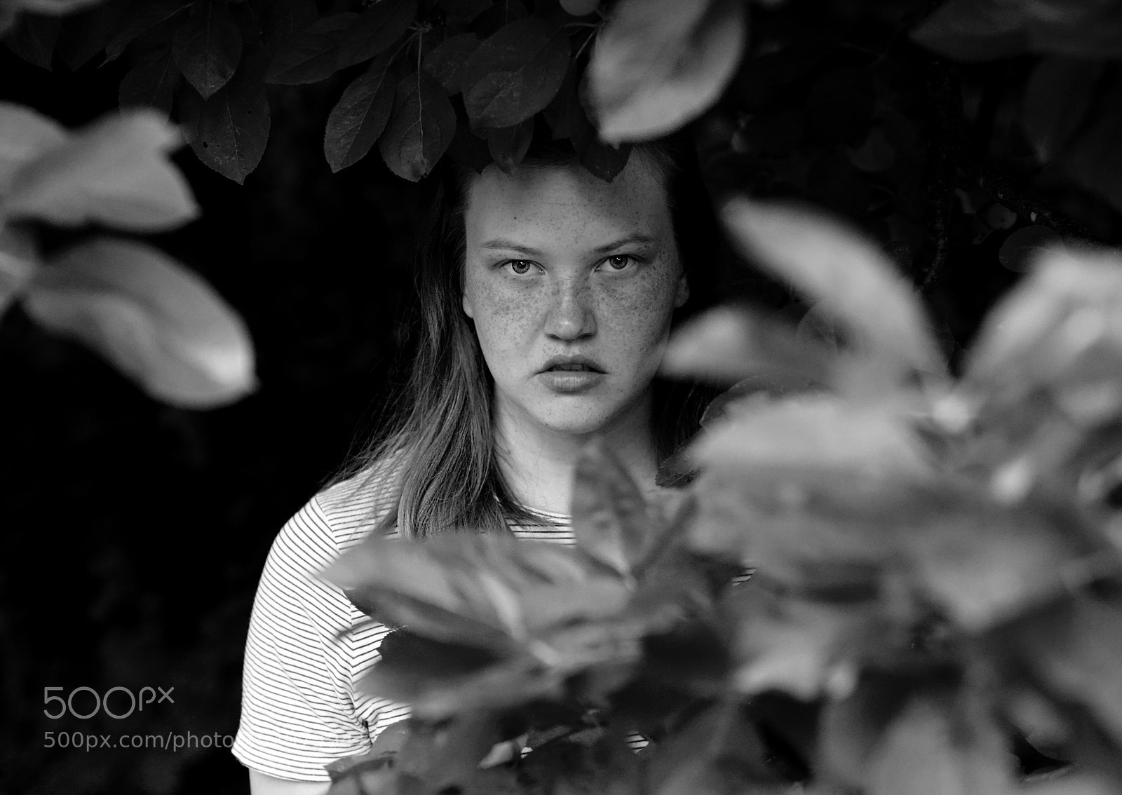 Sony a7R II sample photo. Emily sony a7rii.24-70gm photography