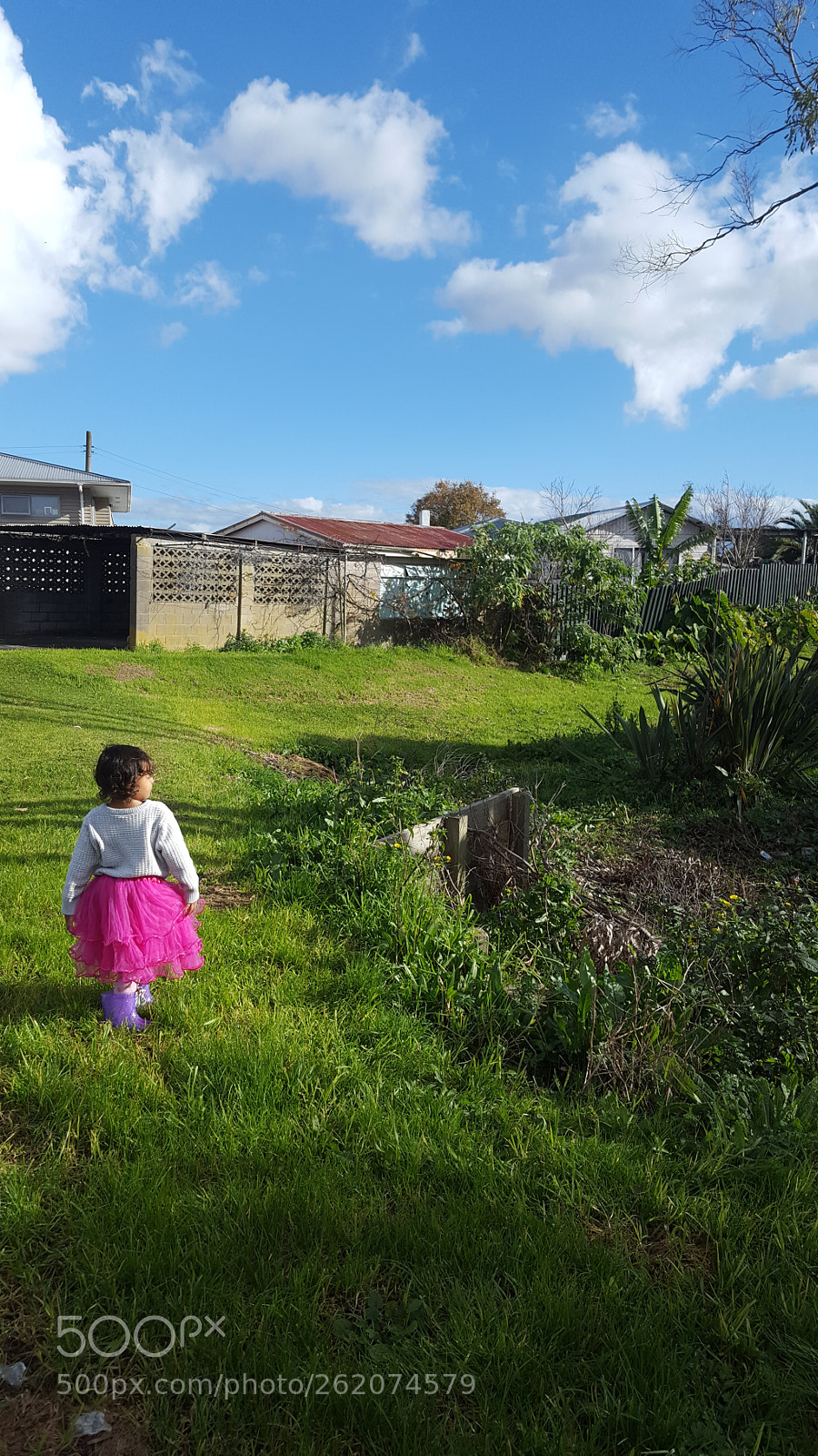 Samsung Galaxy S6 sample photo. Untitled photography