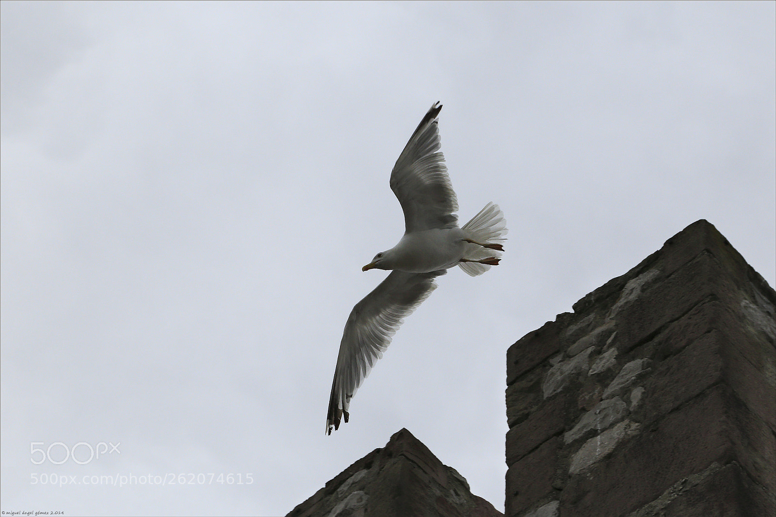 Canon EOS 6D sample photo. 2014 san vicente de photography