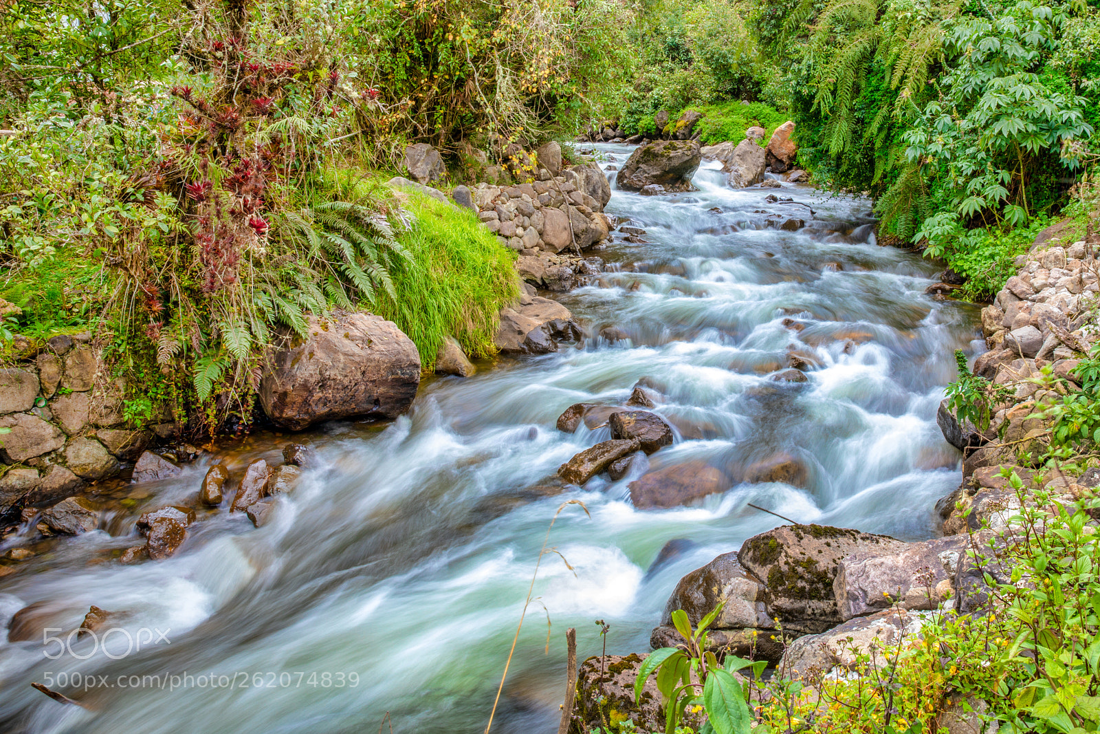 Canon EOS 5D Mark IV sample photo. Papallacta river photography