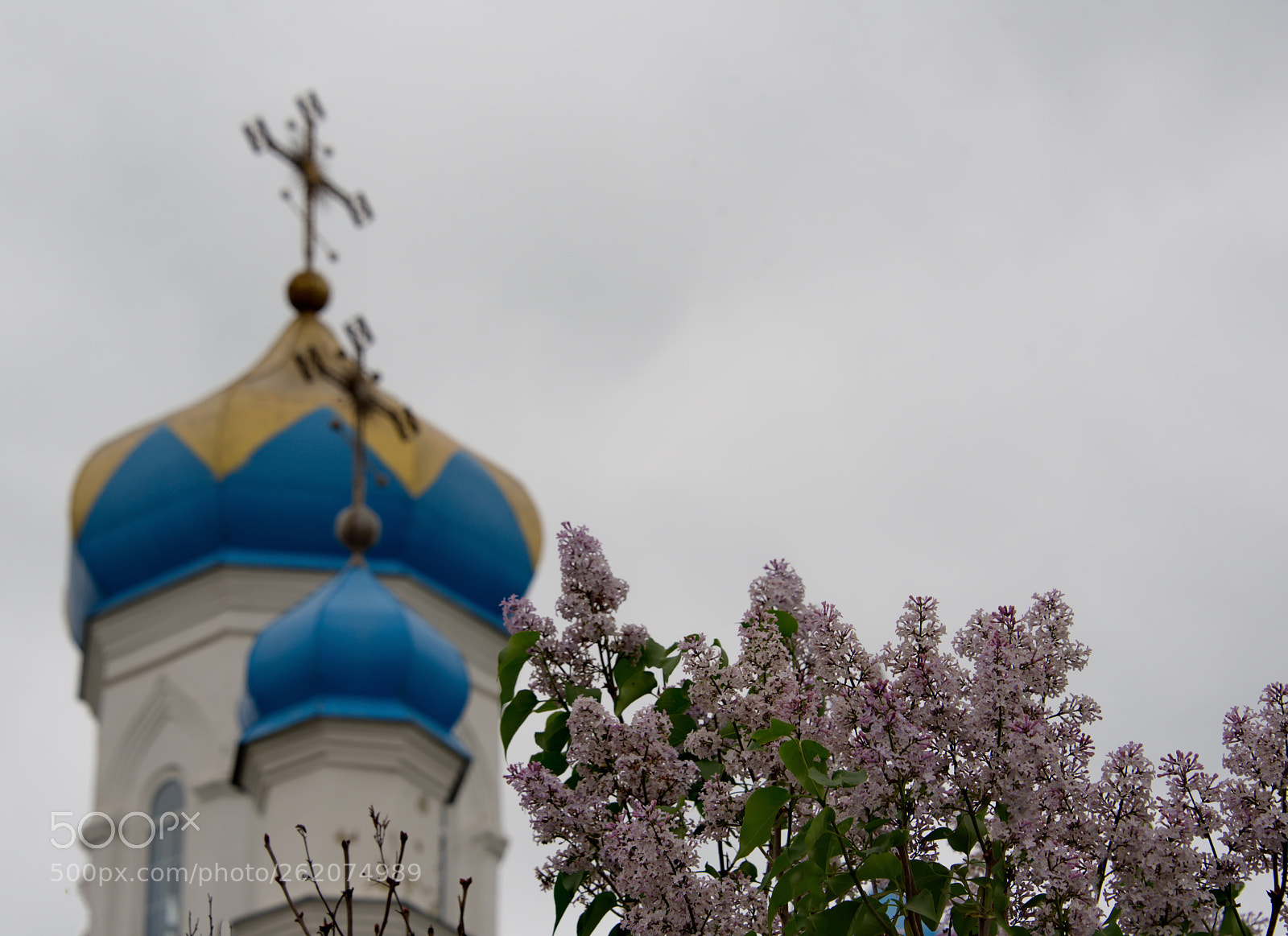 Nikon D750 sample photo. *** photography