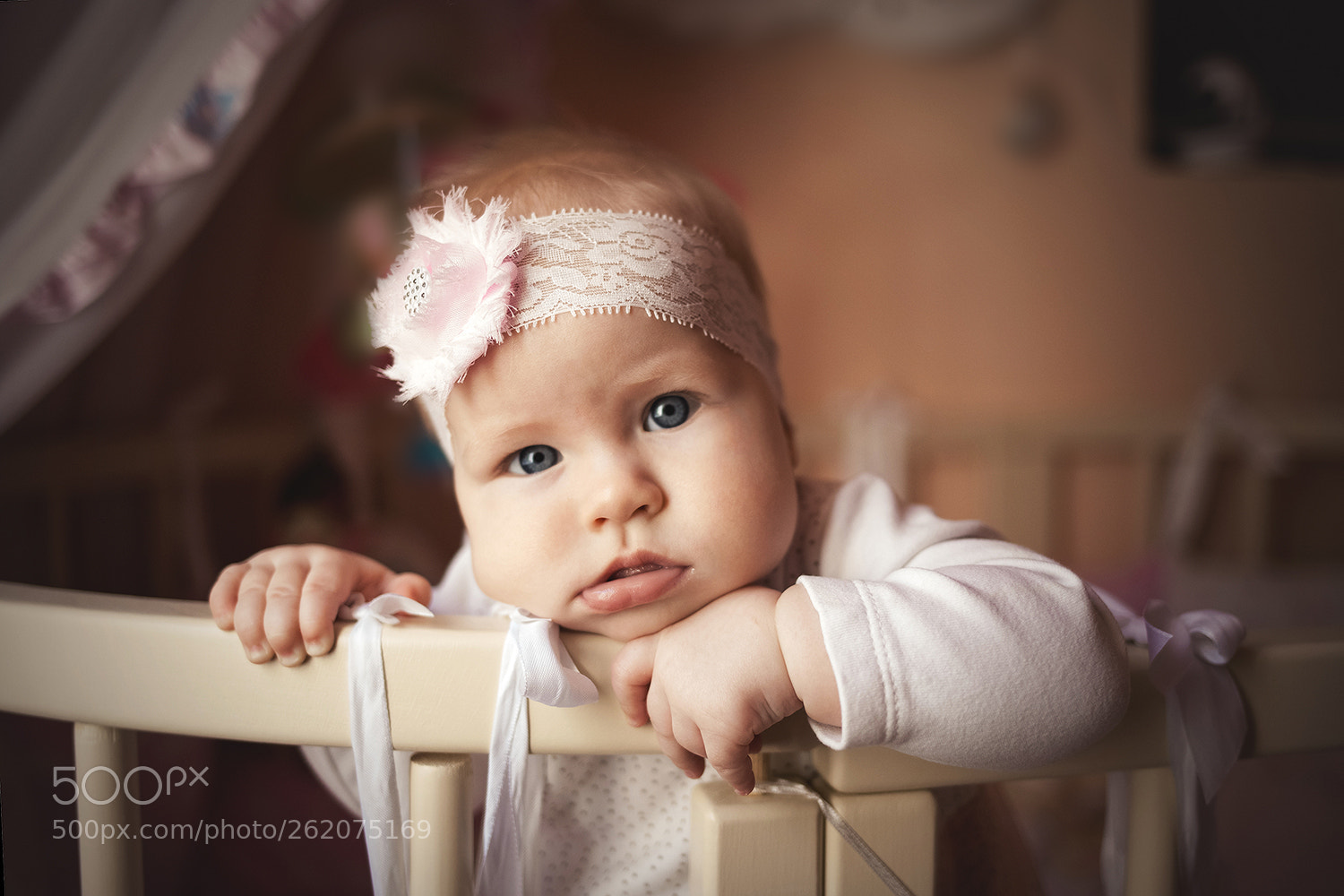Canon EOS 5D Mark II sample photo. Web photography