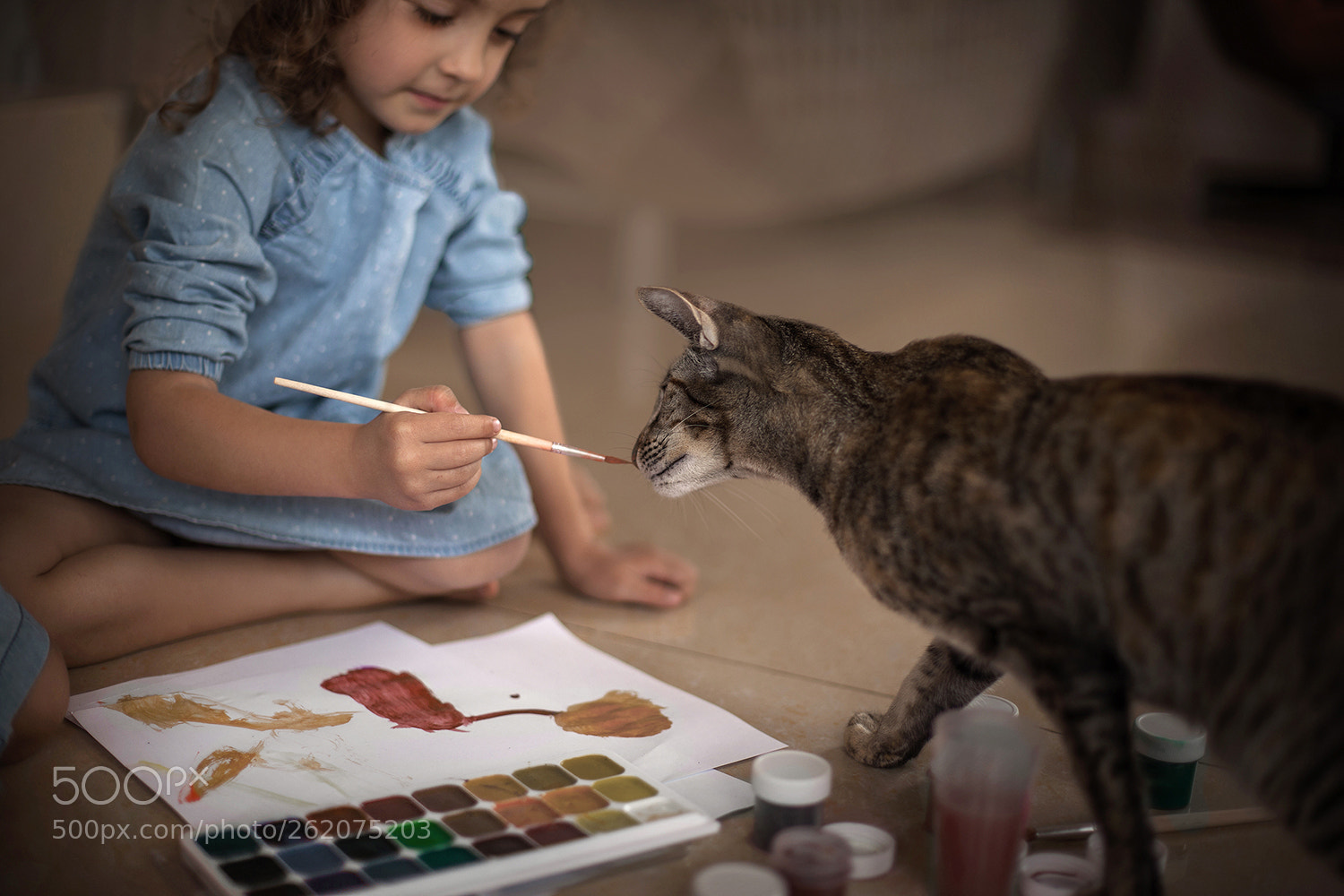 Canon EOS 5D Mark II sample photo. Web photography