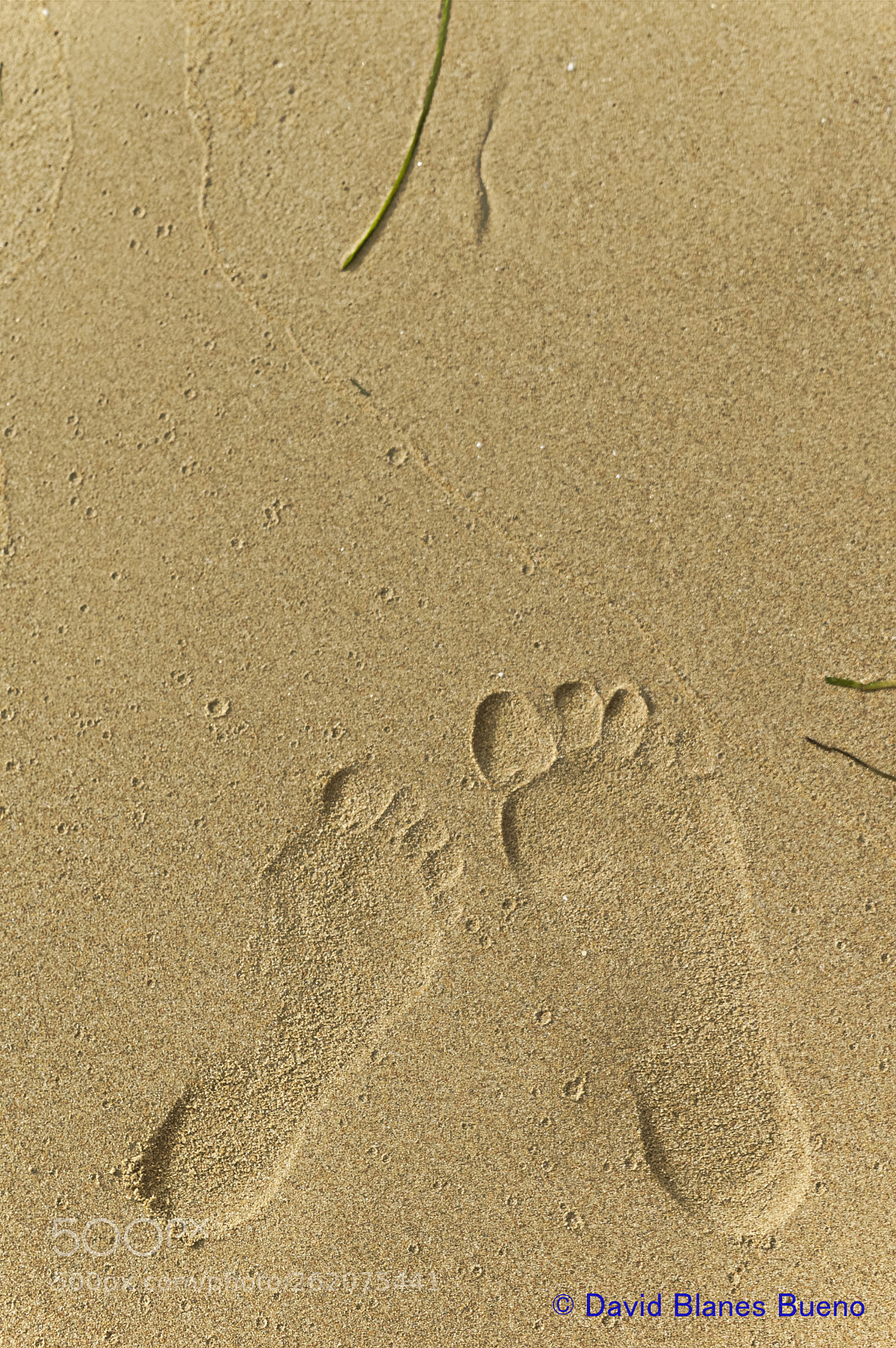Nikon D3200 sample photo. Dejando huella / leaving footprint photography