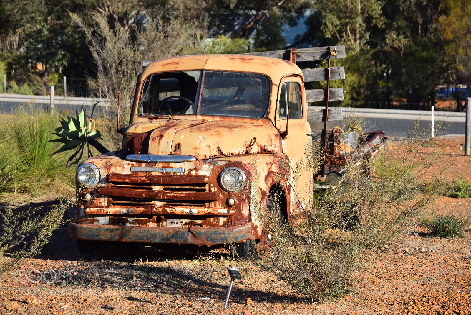 Nikon D810 sample photo. Brigadoon photography