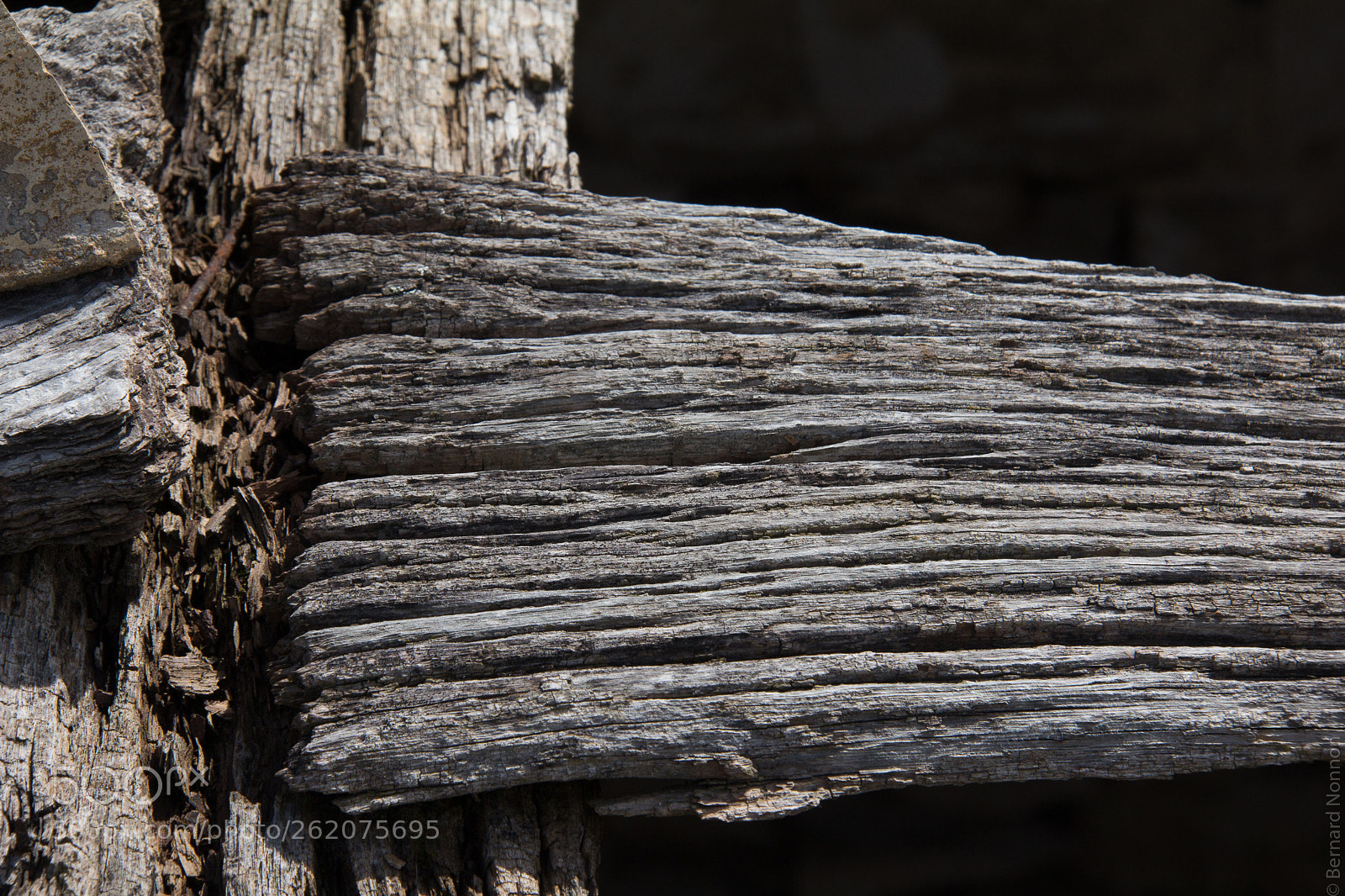 Canon EOS 60D sample photo. D tail de vieux photography