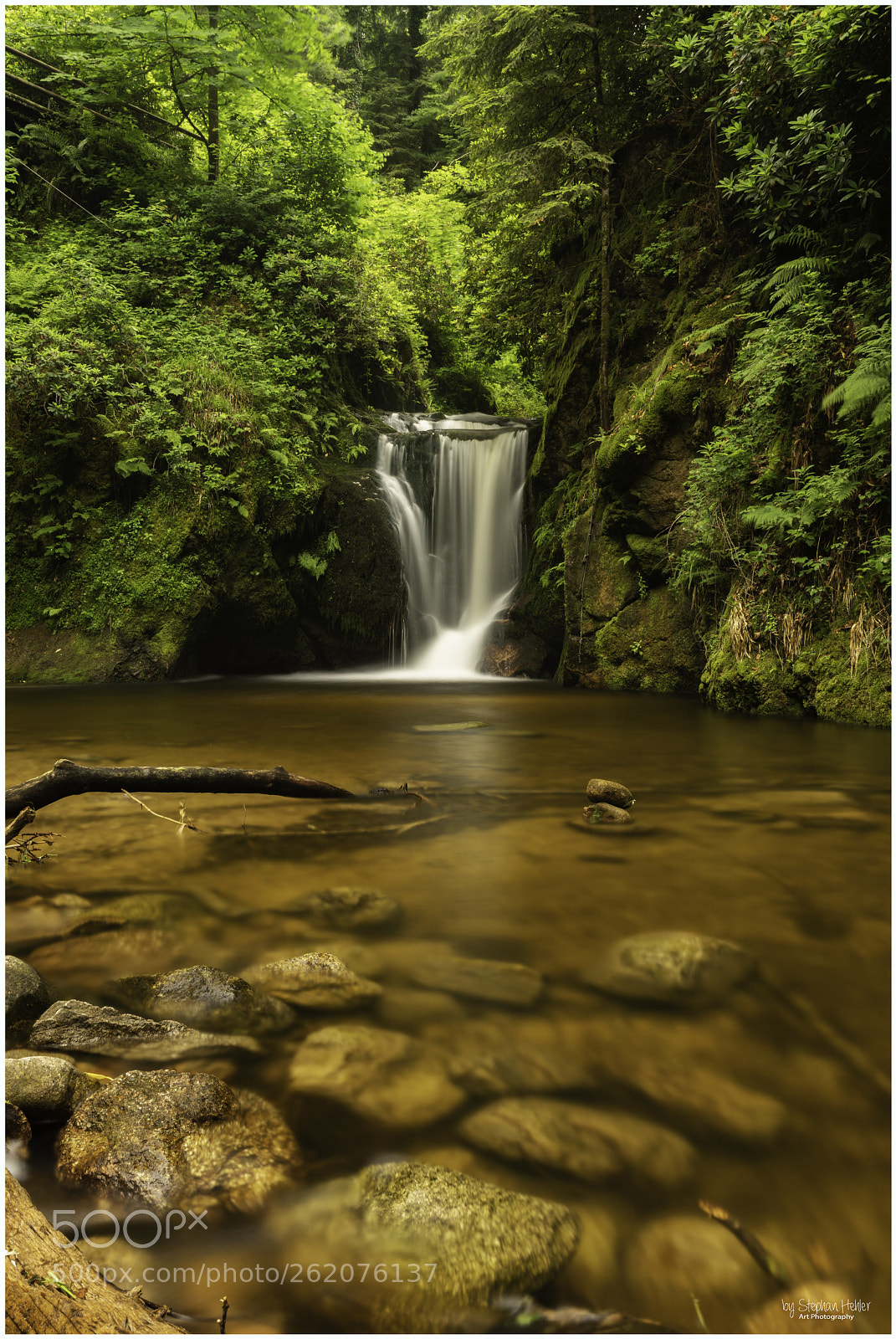 Sony a99 II sample photo. Schwarzwald photography