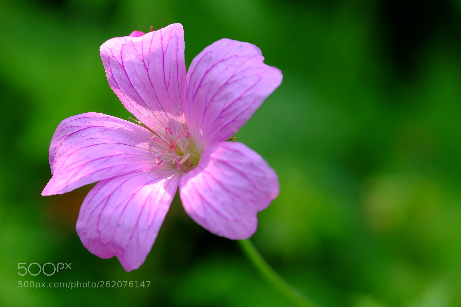 Fujifilm X-T10 sample photo. 583 photography