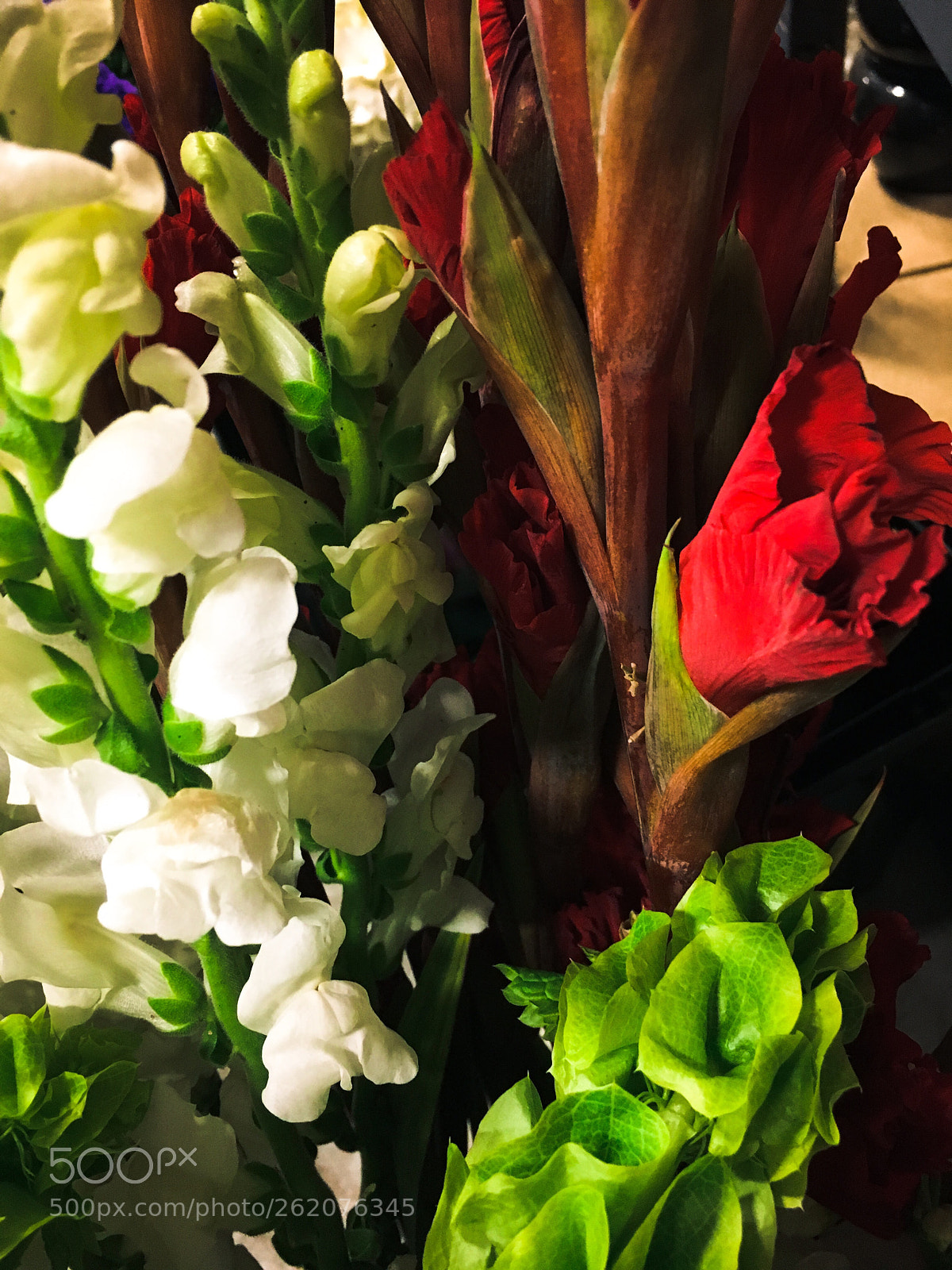 Apple iPhone 6s sample photo. Untitled photography