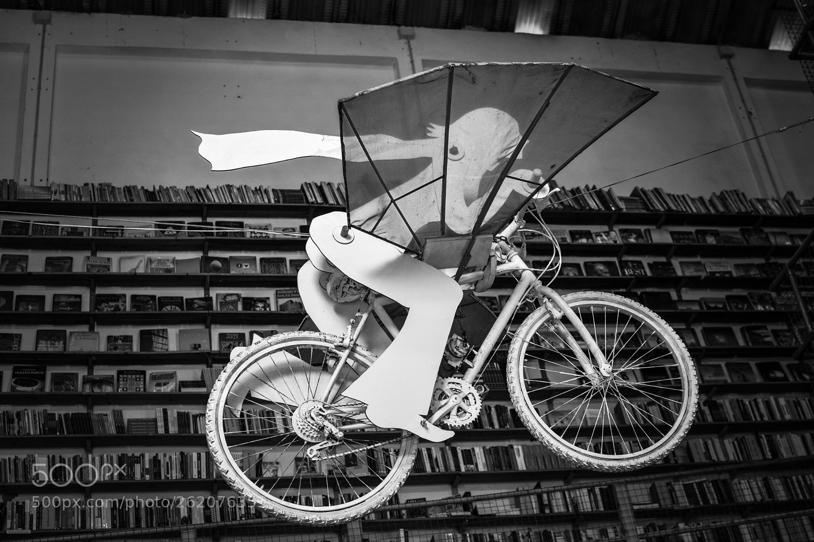 Nikon D5200 sample photo. Livraria photography