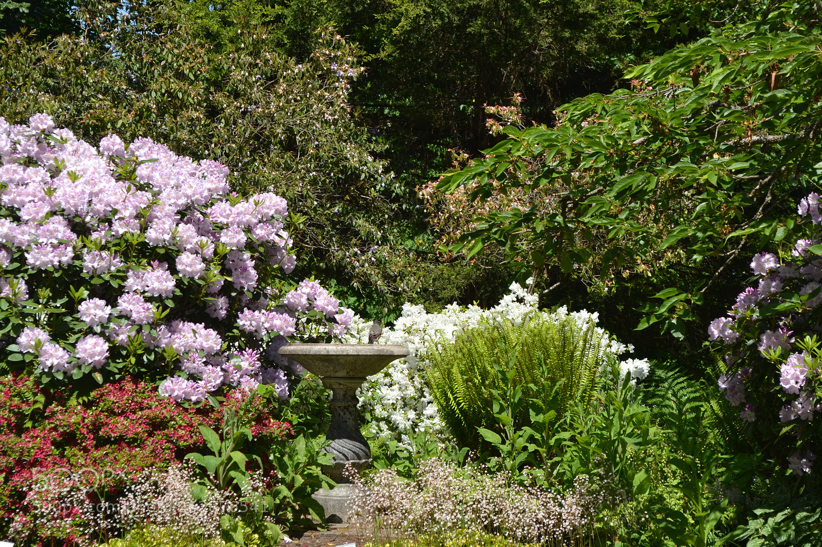 Nikon D3100 sample photo. Pittock pdx photography