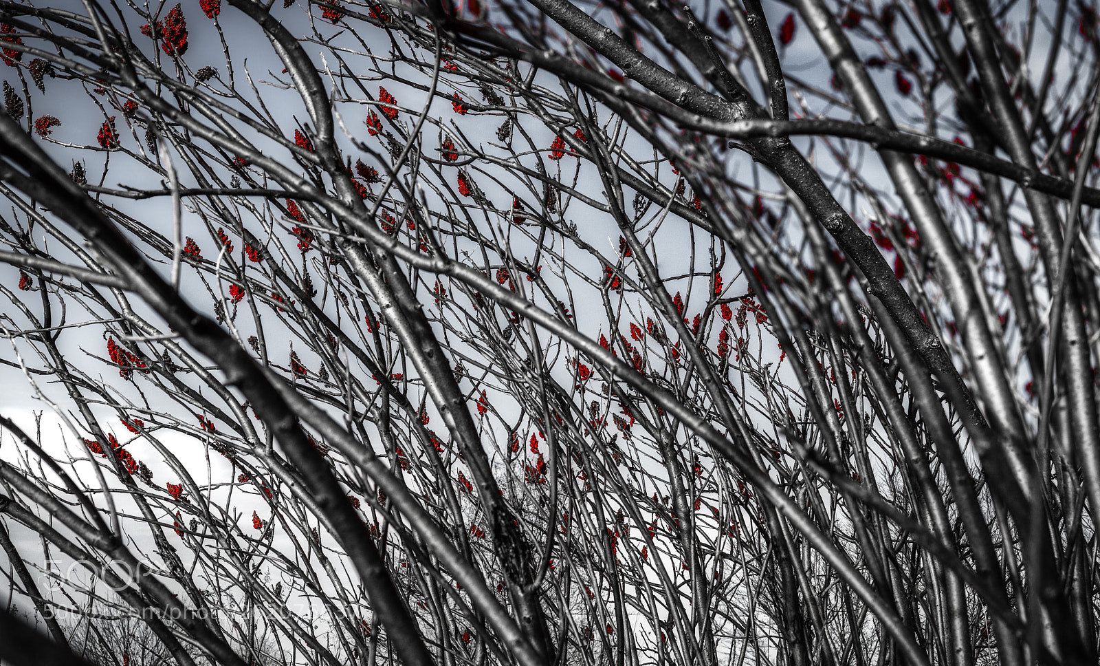 Canon EOS 600D (Rebel EOS T3i / EOS Kiss X5) sample photo. Bend photography