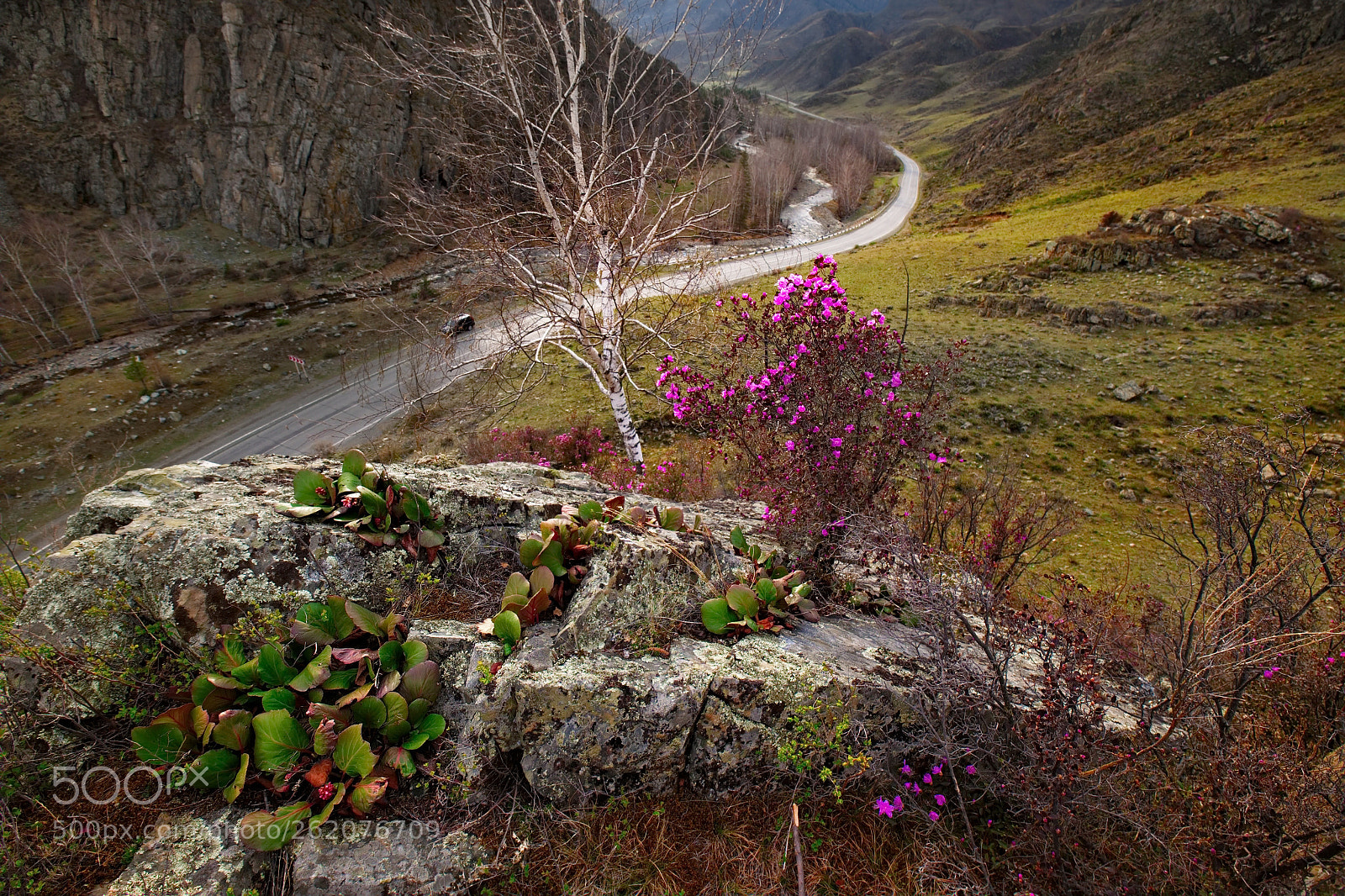 Fujifilm X-T1 sample photo. Russia. the south of photography