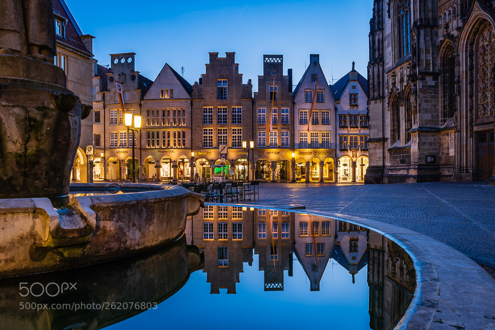 Sony a7 III sample photo. Mirror mirror on the... photography
