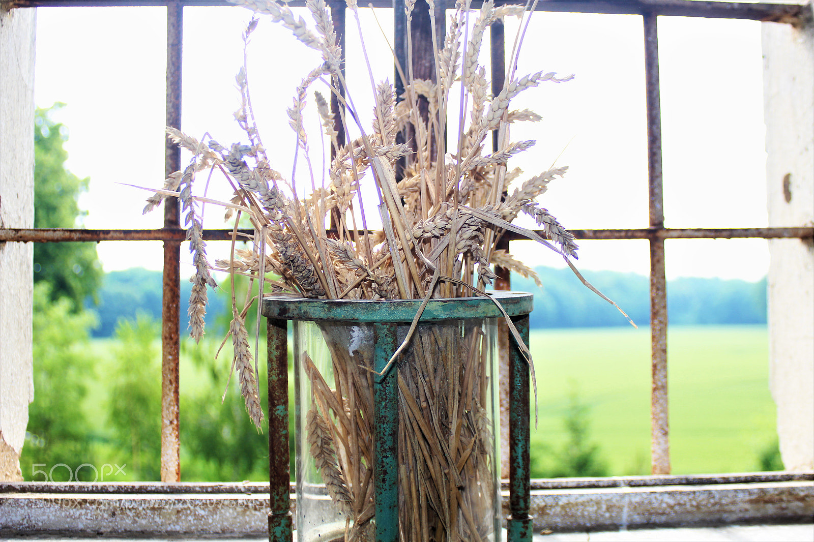 Canon EOS 1200D (EOS Rebel T5 / EOS Kiss X70 / EOS Hi) sample photo. Old mill in poland photography