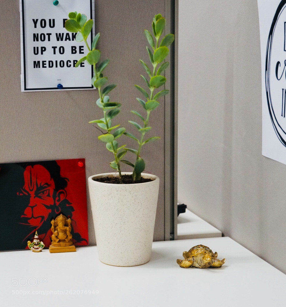 Sony a6300 sample photo. Tidy desk photography