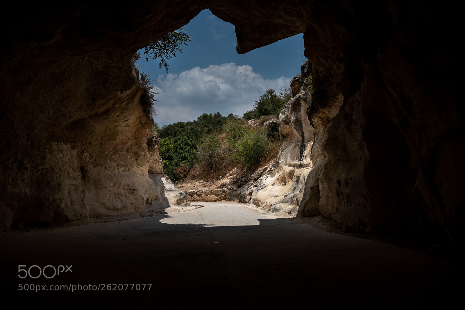 Nikon D810 sample photo. Gate to the magical photography