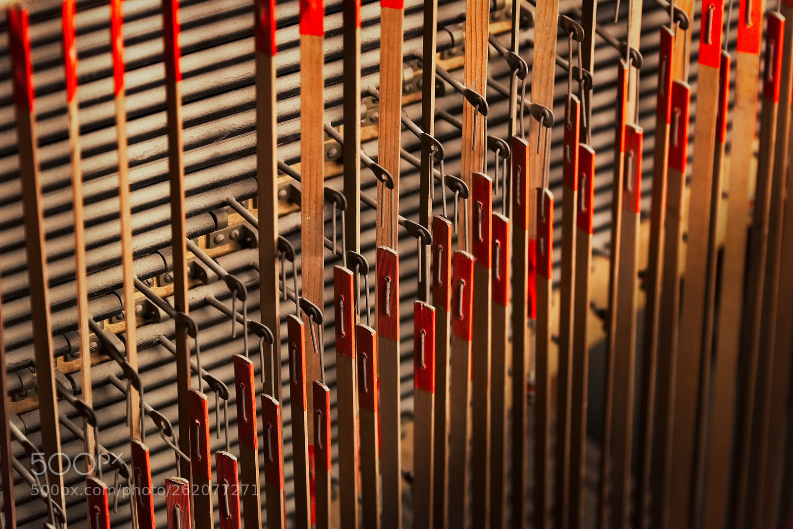 Nikon D750 sample photo. Órgano - organ photography