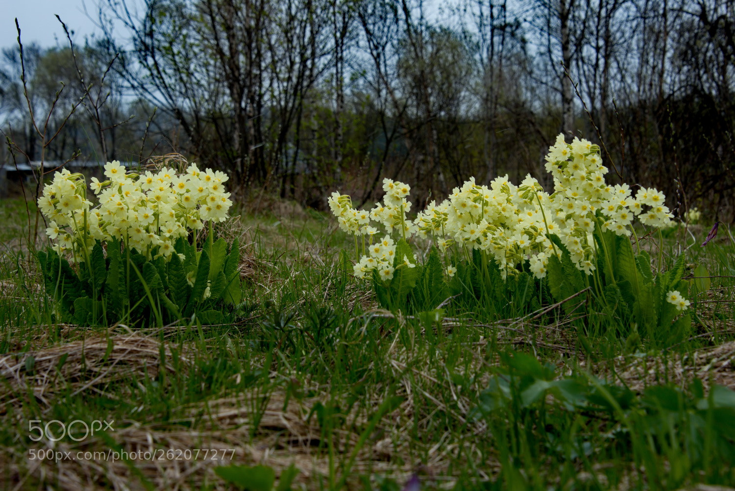 Nikon D750 sample photo. Russia. the south of photography