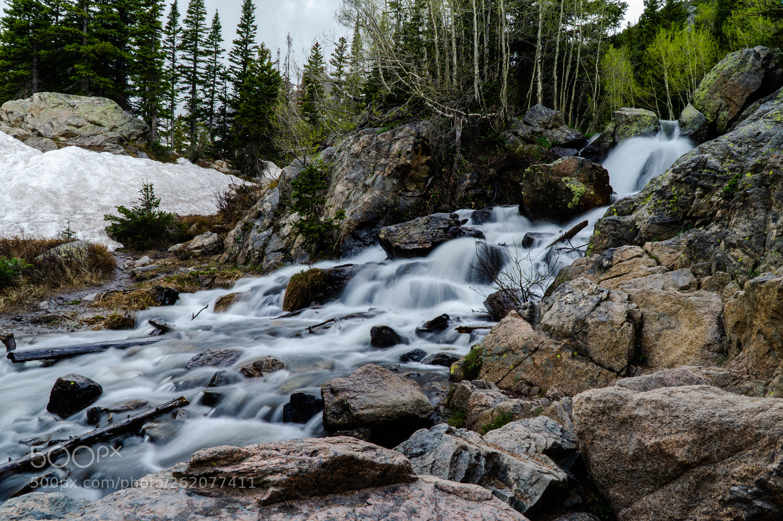 Sony a6000 sample photo. Dsc photography