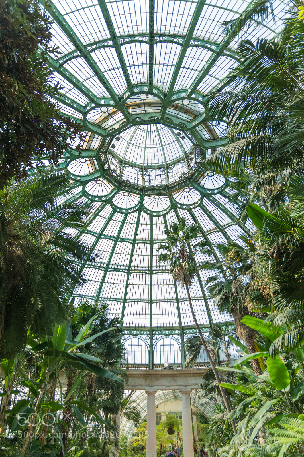 Nikon D7100 sample photo. Serres royales de laeken photography