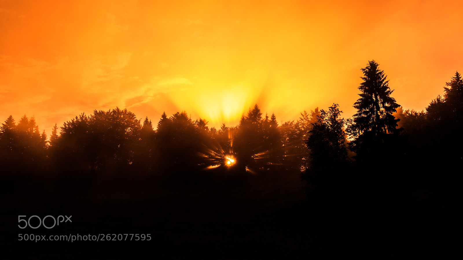 Canon EOS 6D Mark II sample photo. Catching the last sunbeams photography