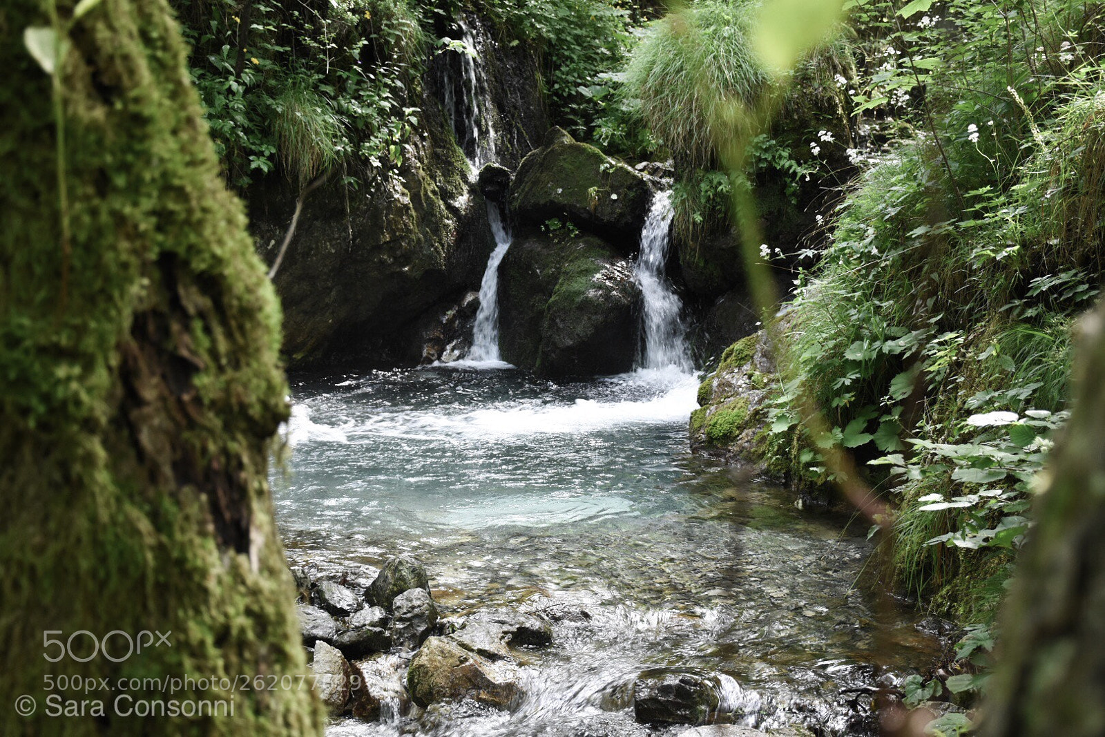 Nikon D7200 sample photo. Cascata nel bosco
 photography