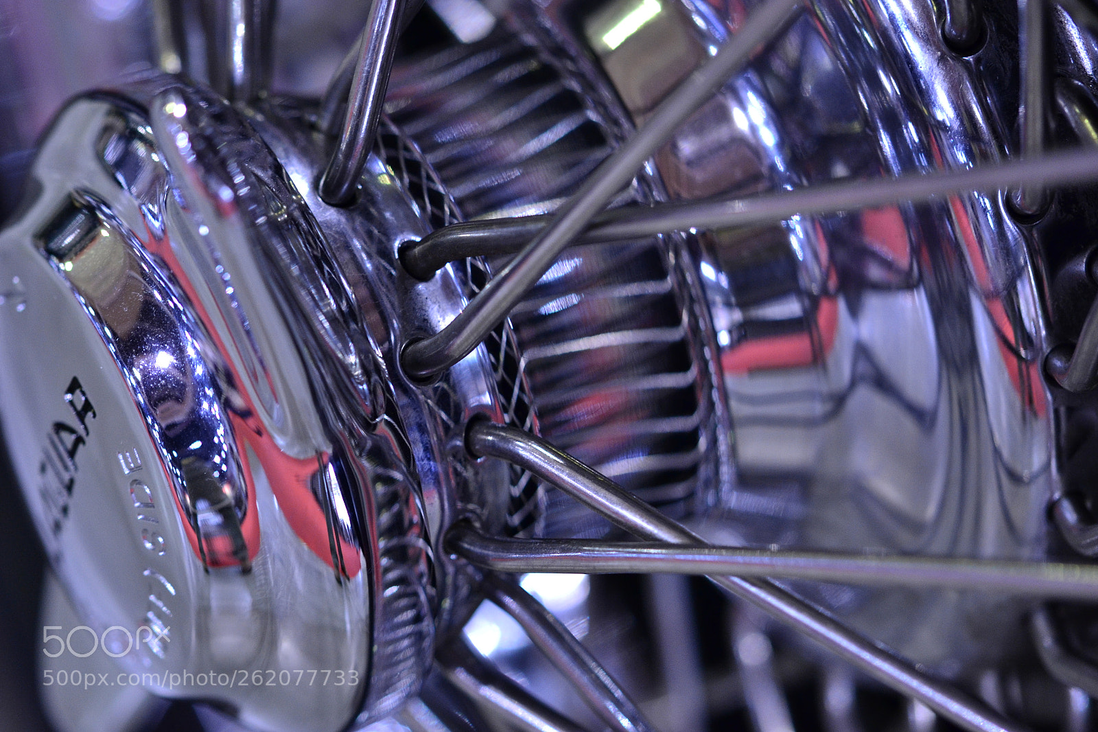 Sigma 105mm F2.8 EX DG OS HSM sample photo. Ot_01 photography