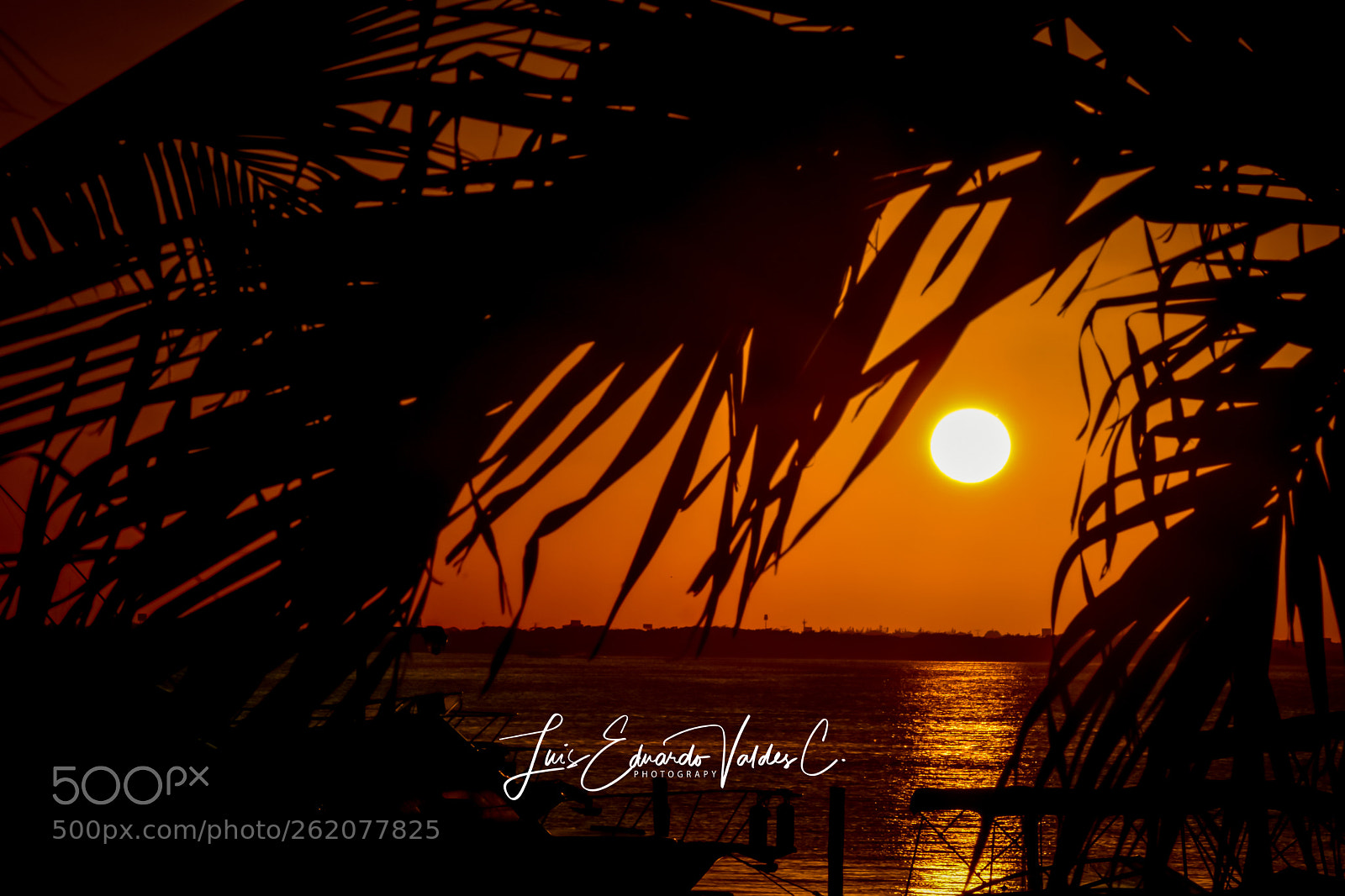 Nikon D7200 sample photo. Sun photography