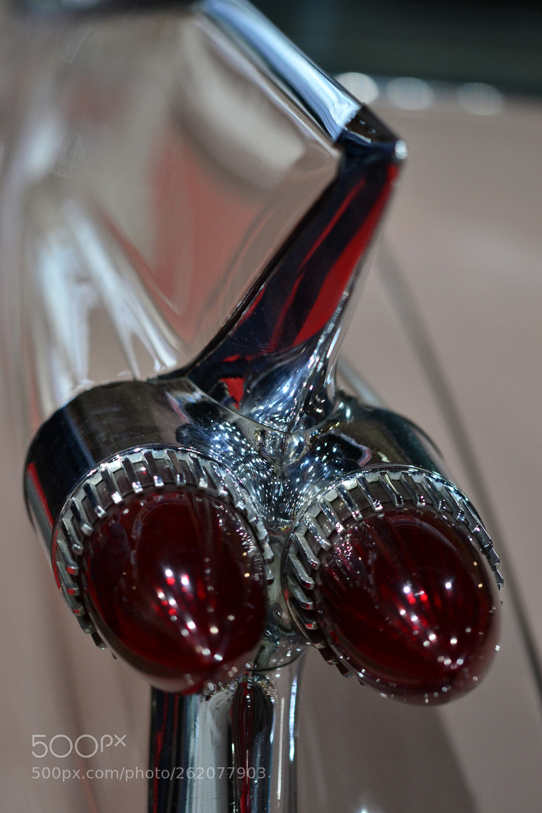 Sigma 105mm F2.8 EX DG OS HSM sample photo. Ot_25 photography