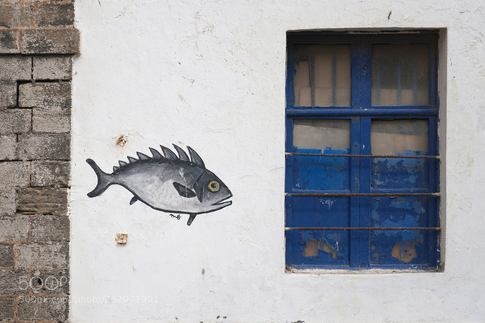 Sony a6500 sample photo. Fish.. photography