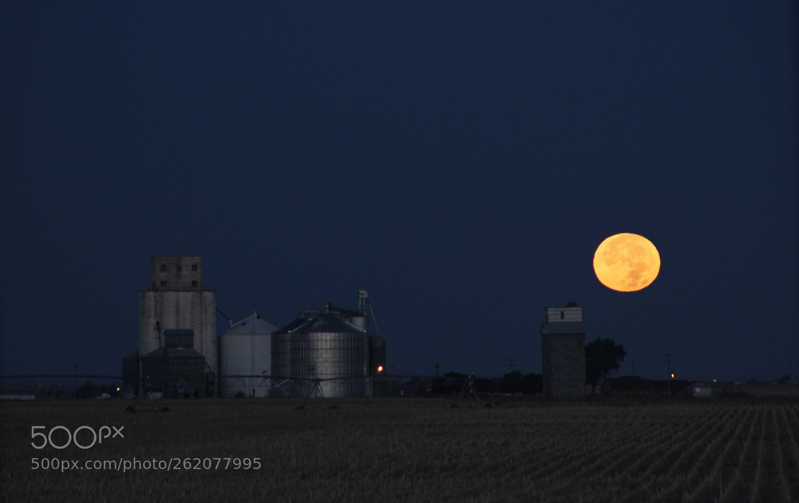 Canon EOS 600D (Rebel EOS T3i / EOS Kiss X5) sample photo. Full moon photography