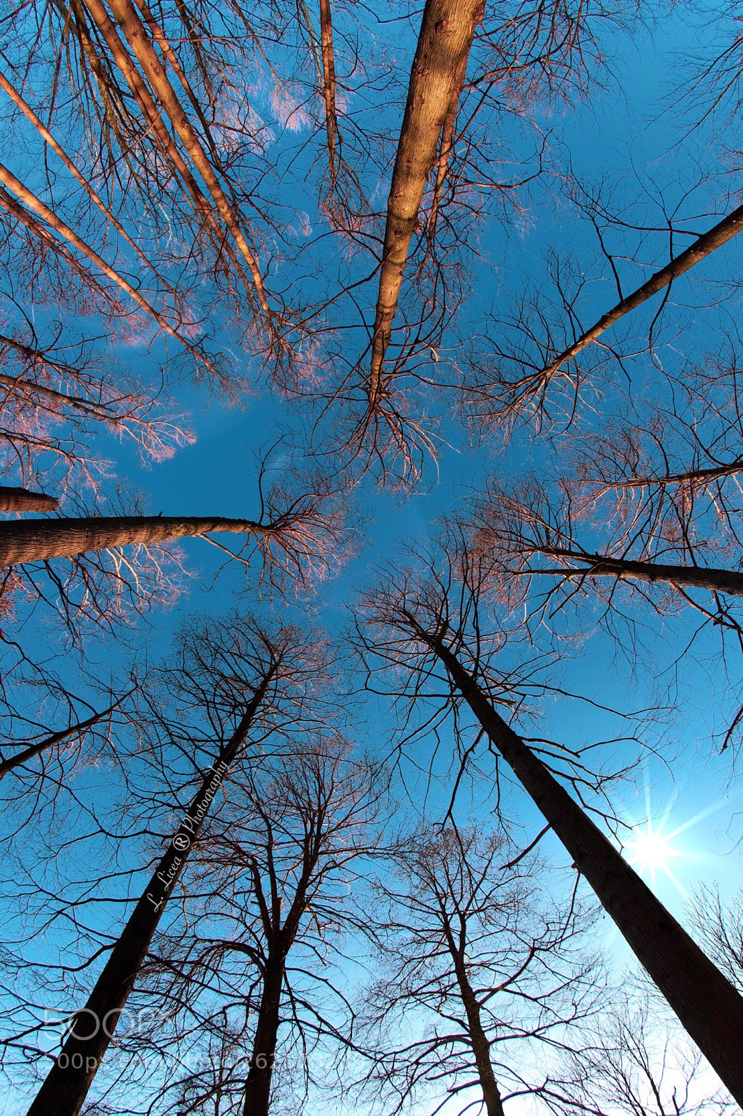 Canon EOS 6D Mark II sample photo. Fly away 12 photography
