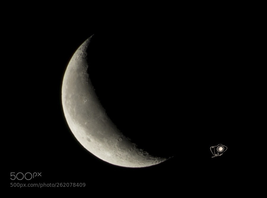 Canon EOS 5D Mark IV sample photo. Untitled photography