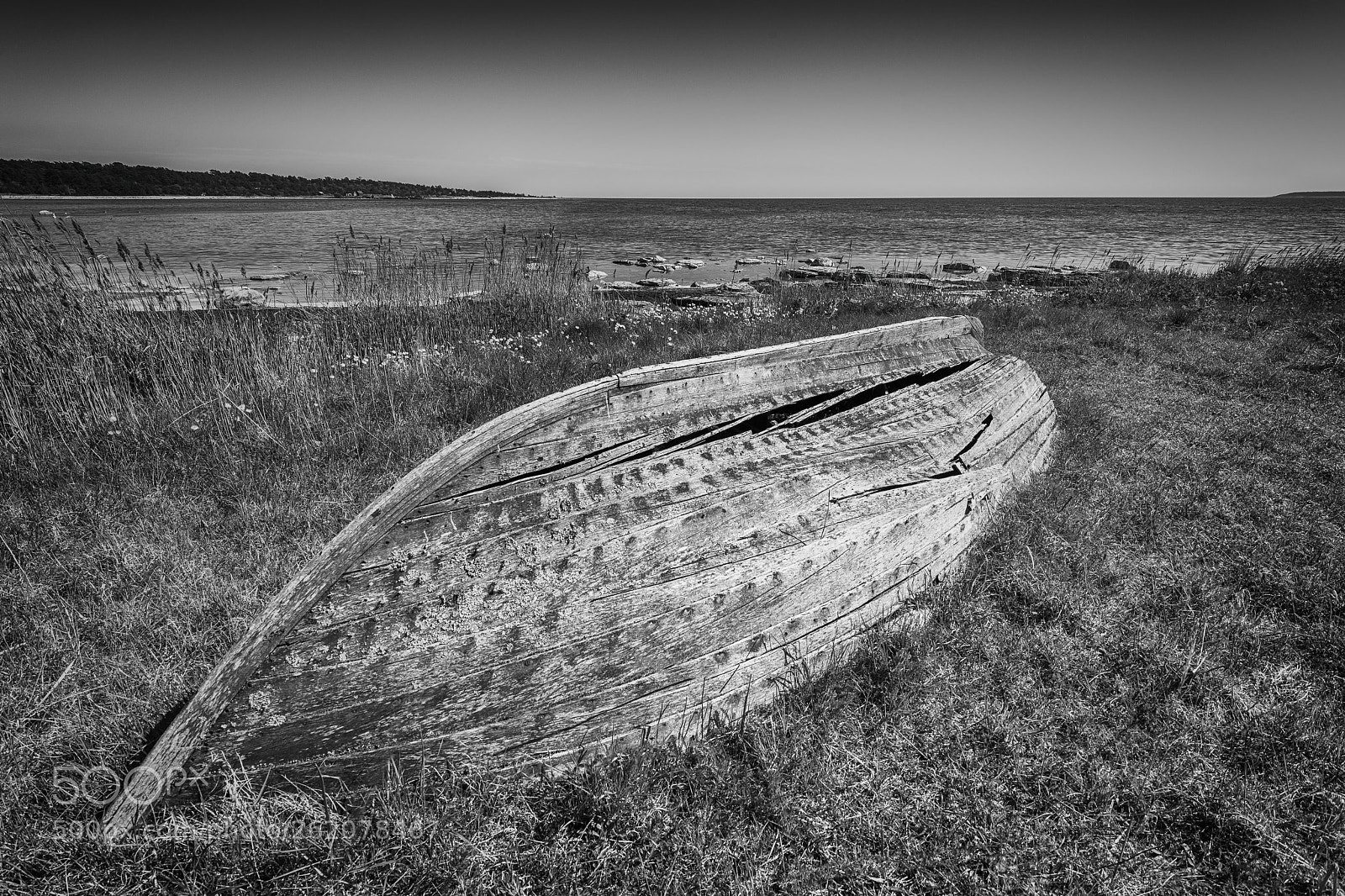 Nikon D850 sample photo. In disrepair photography