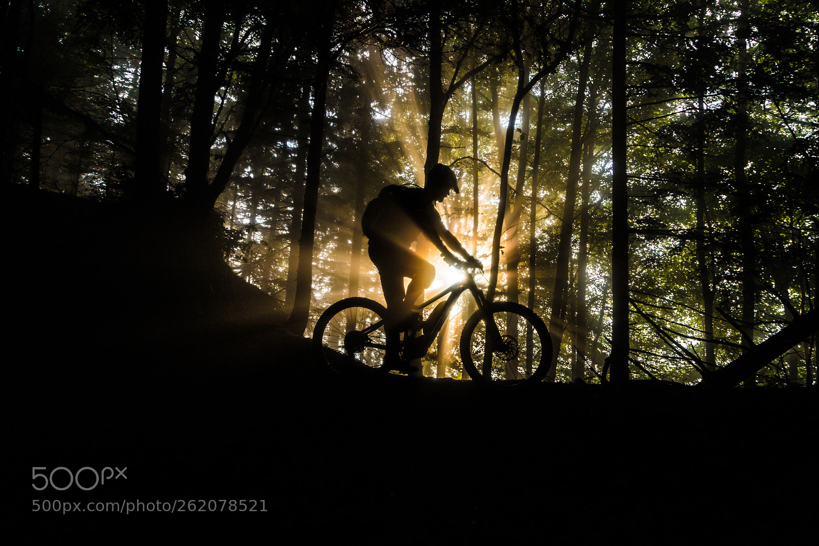 Canon EOS 6D Mark II sample photo. Dawn ride photography