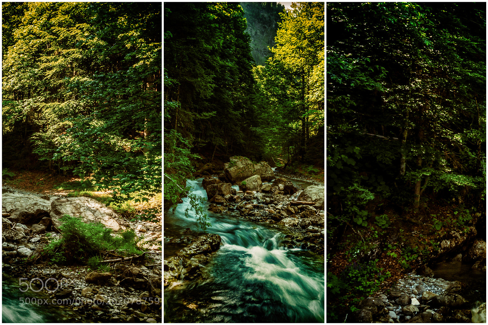 Sony a6000 sample photo. Wald ii photography
