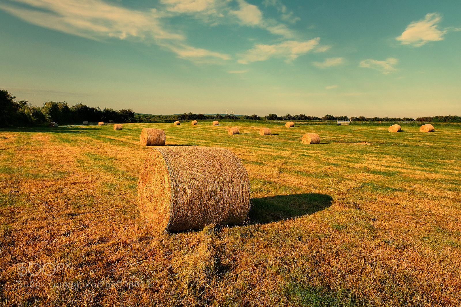 Fujifilm X-T20 sample photo. Harvesting hay on the photography