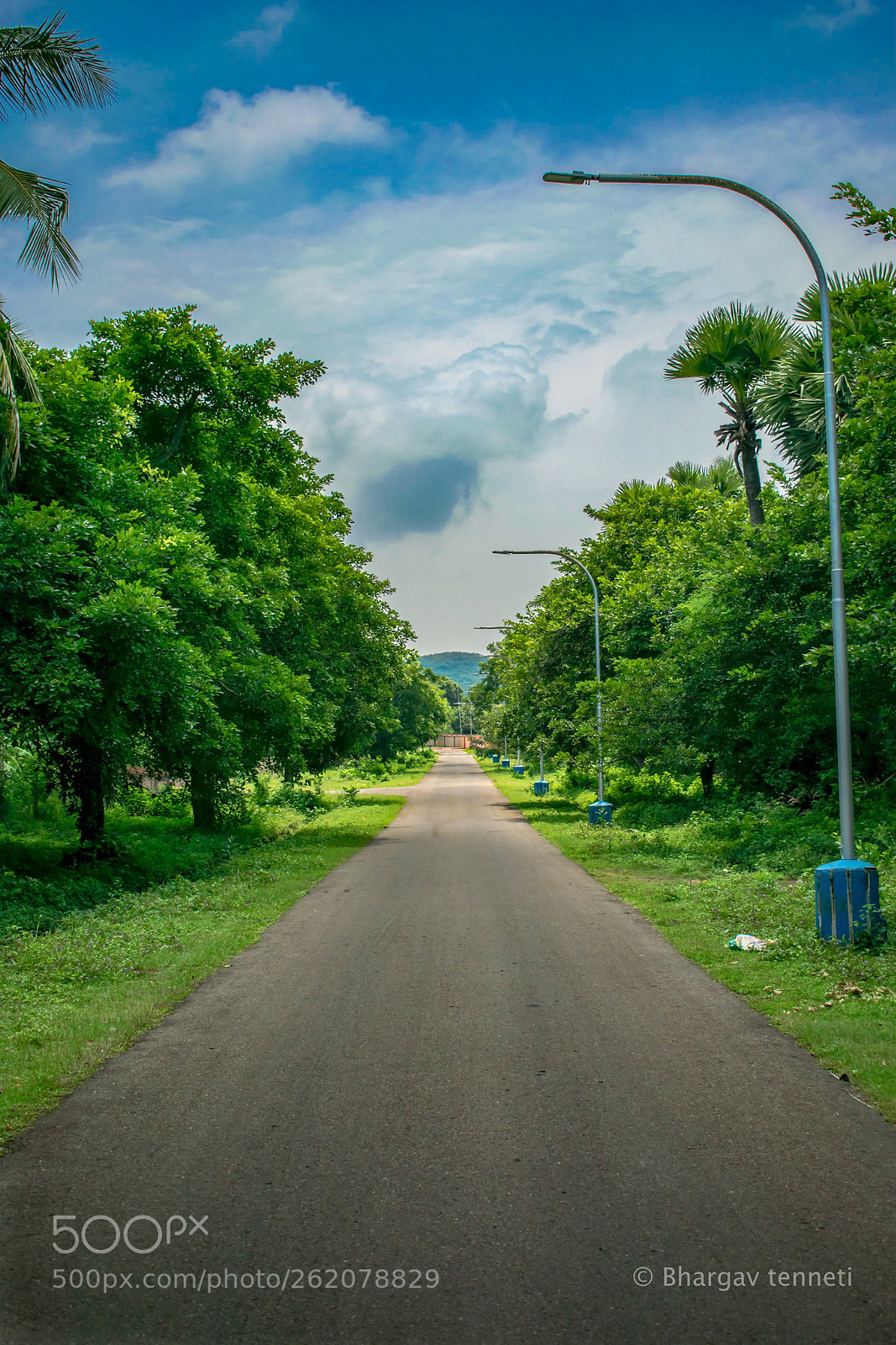 Nikon D5300 sample photo. Nature !!! photography
