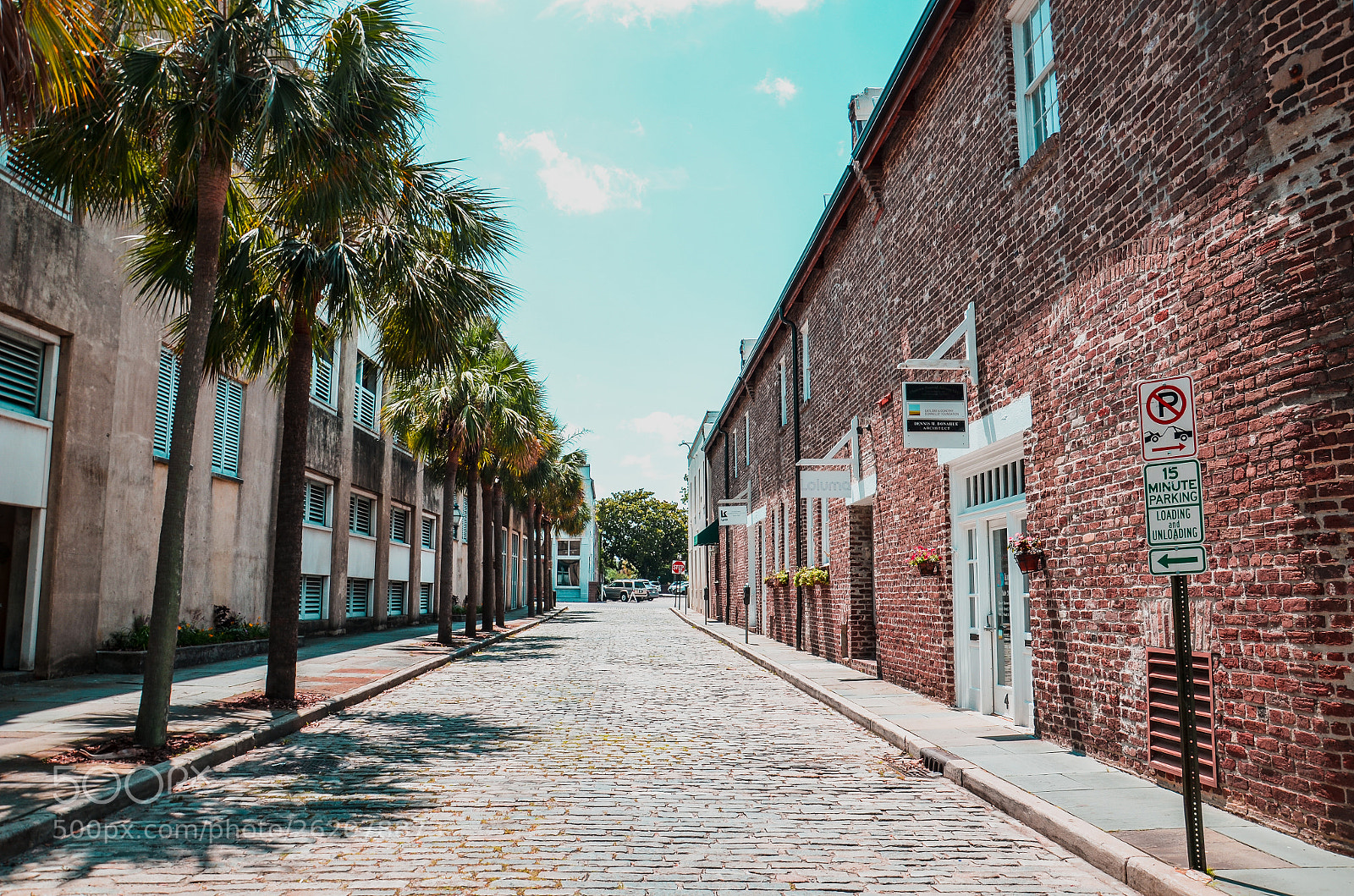 Nikon D7000 sample photo. Charleston, sc. photography