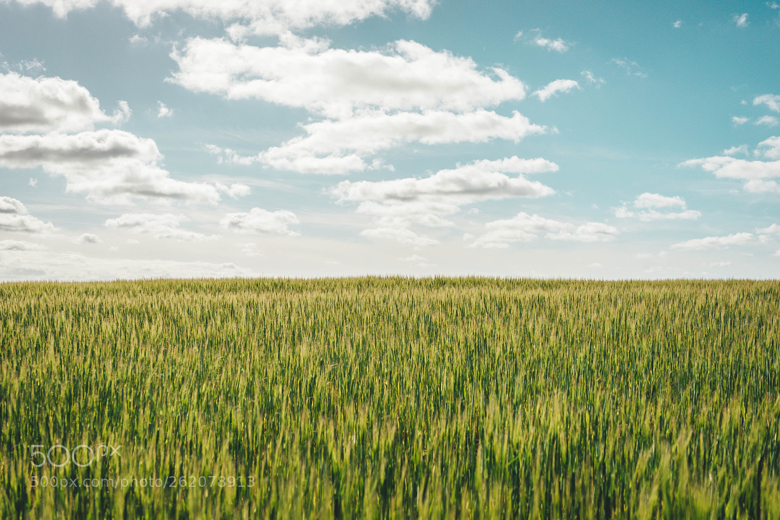 Sony a7 sample photo. 4.jpg photography