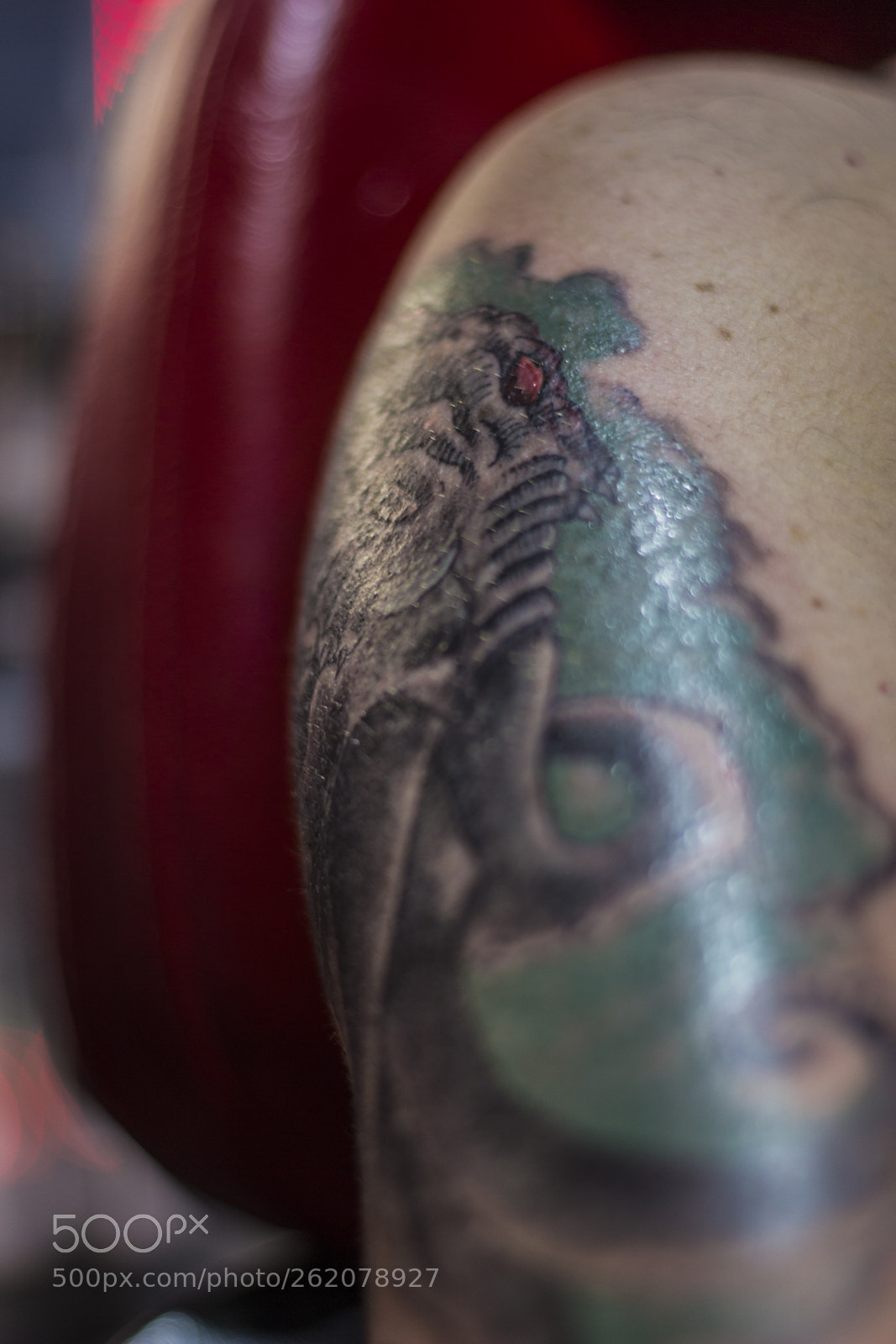 Canon EOS 60D sample photo. Next some light games.... photography