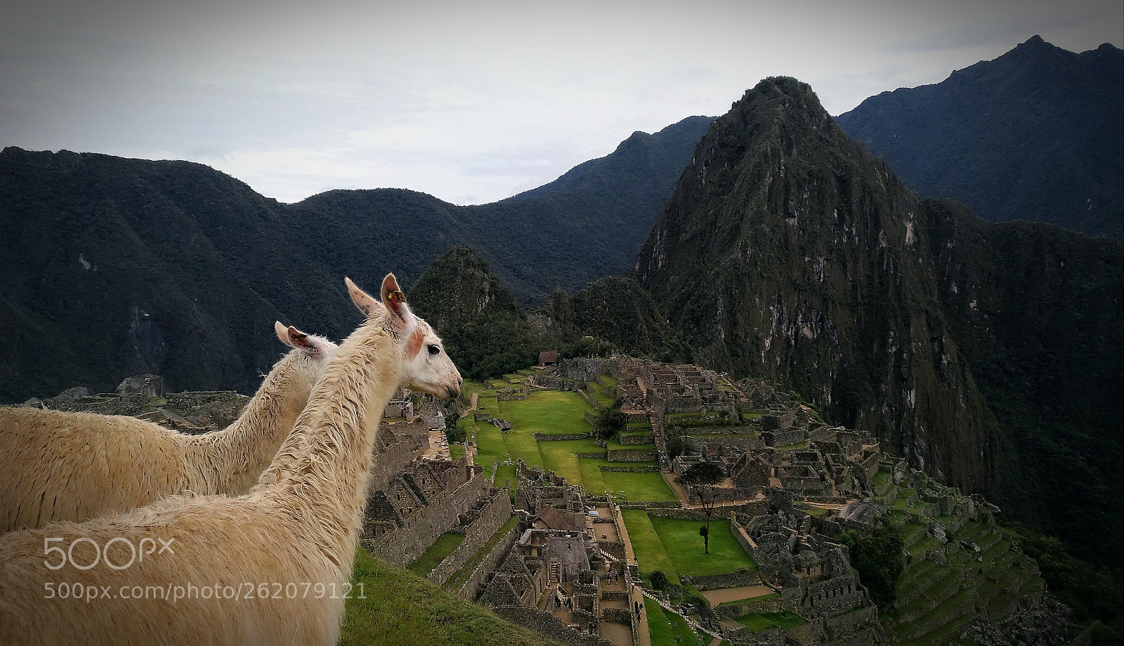ASUS ZenFone 3 (ZE552KL) sample photo. Machu picchu photography
