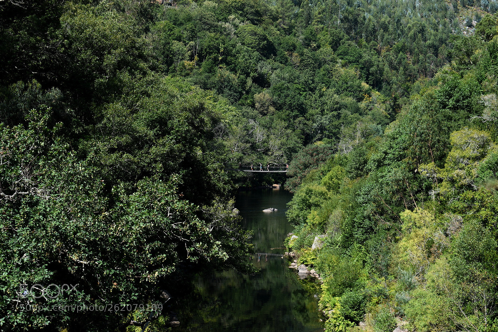 Nikon D5600 sample photo. Passadicospaiva photography