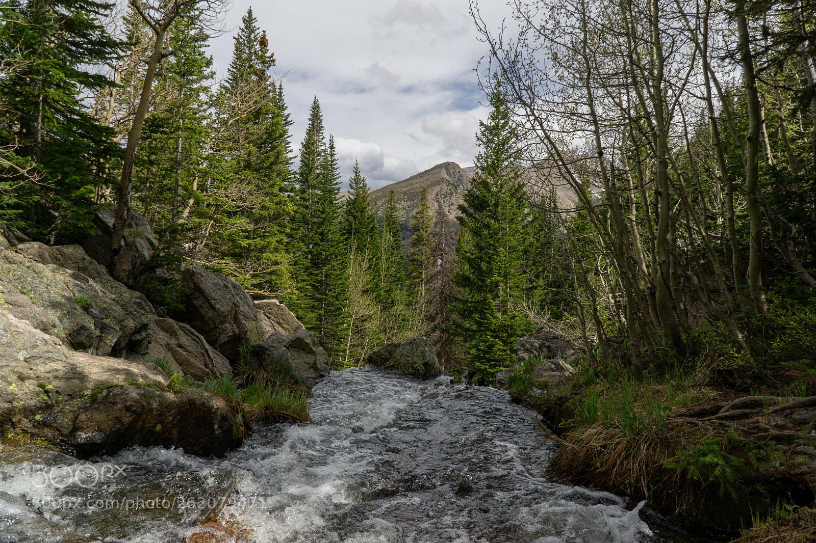 Sony a6000 sample photo. Dsc photography