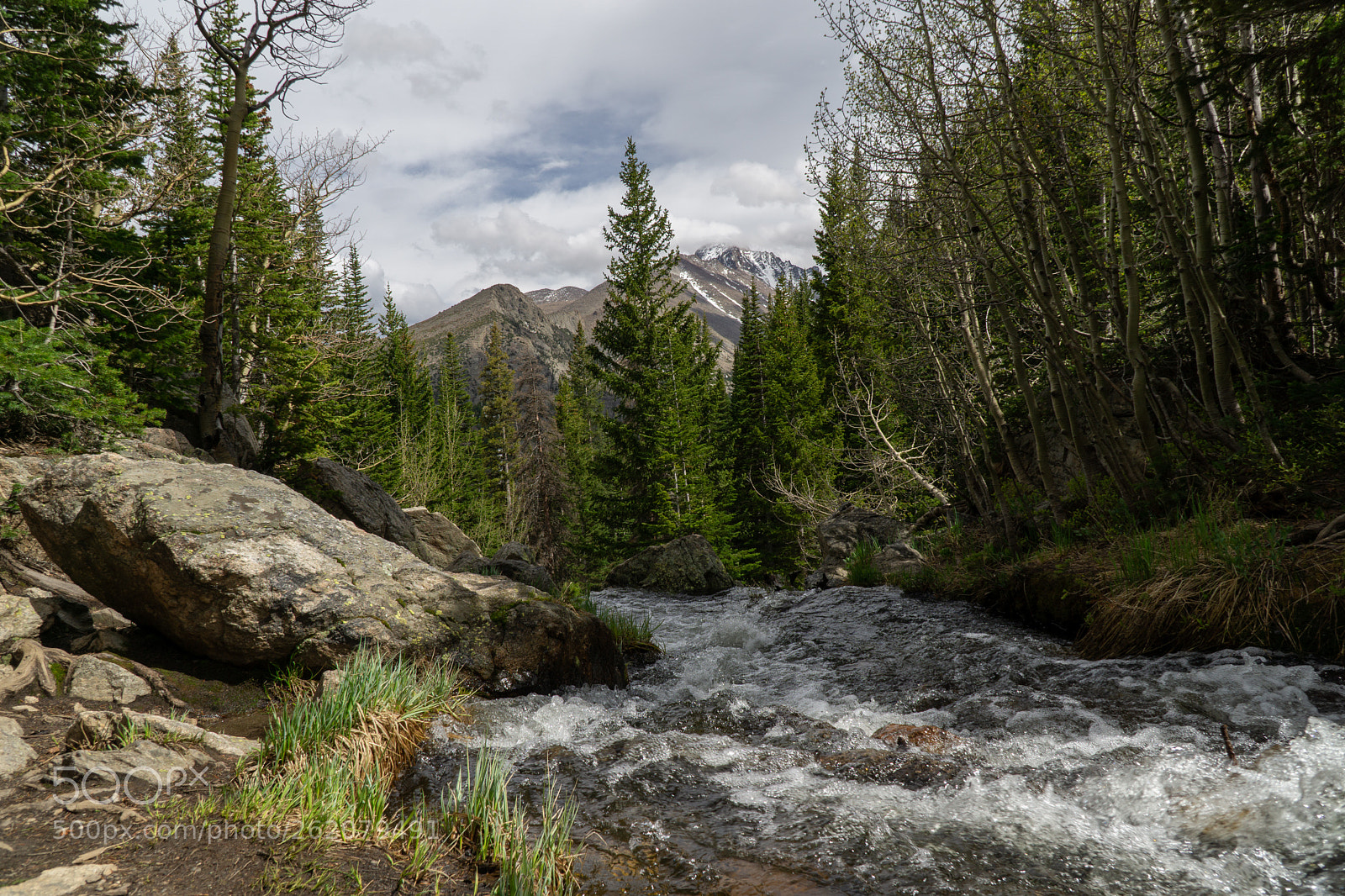 Sony a6000 sample photo. Dsc photography