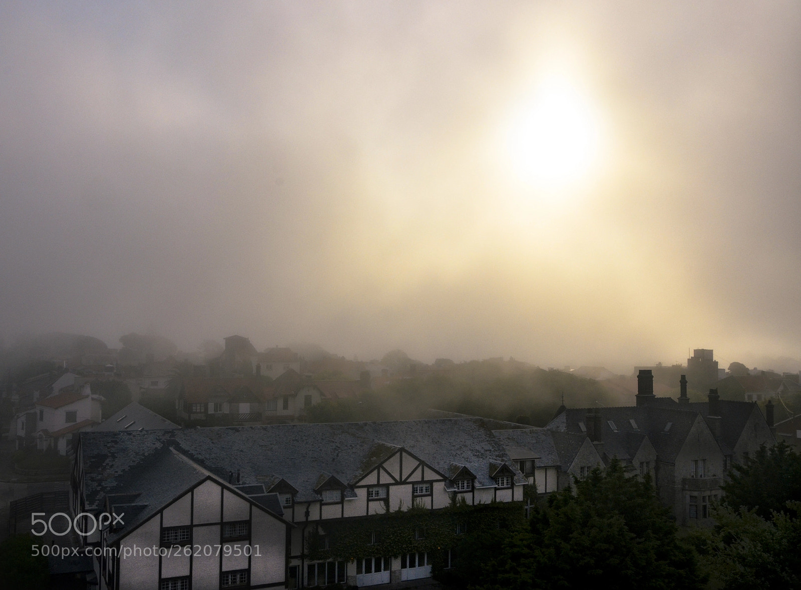 Nikon D7000 sample photo. Densa niebla photography