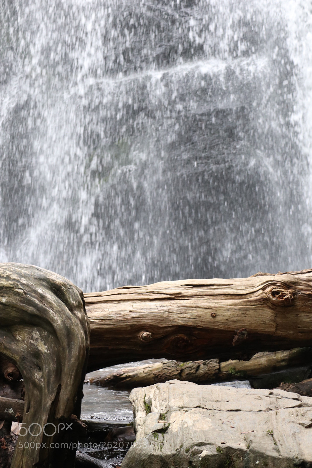 Canon EOS M6 sample photo. Untitled photography