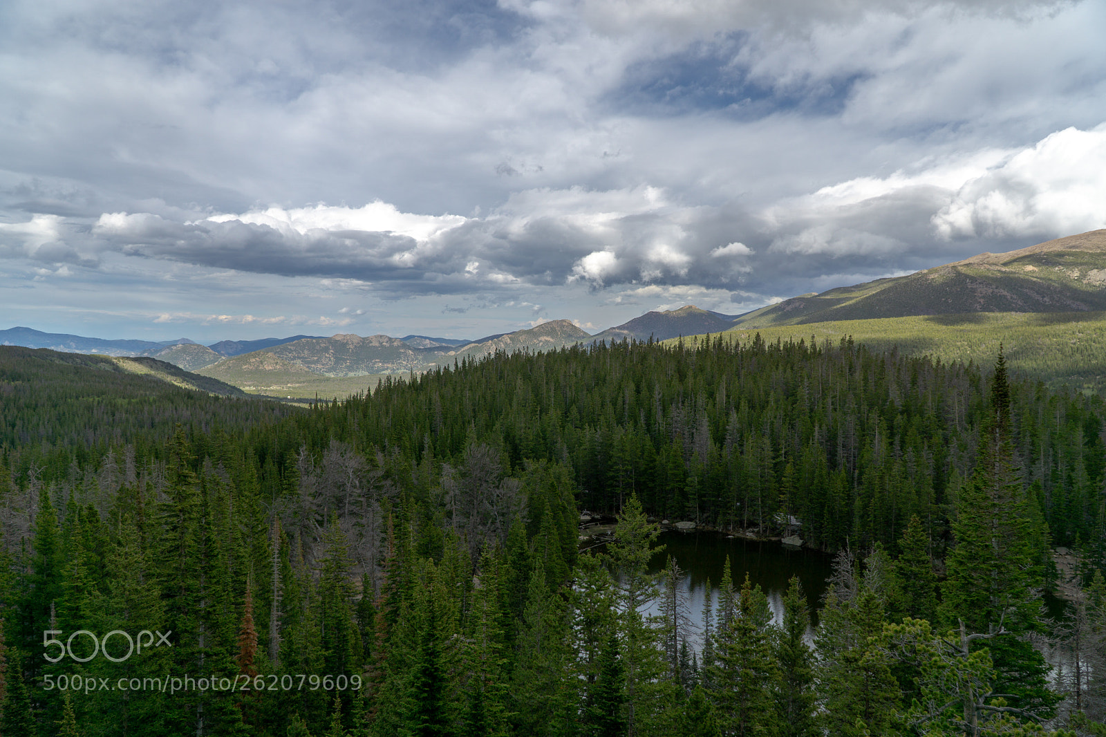 Sony a6000 sample photo. Dsc photography